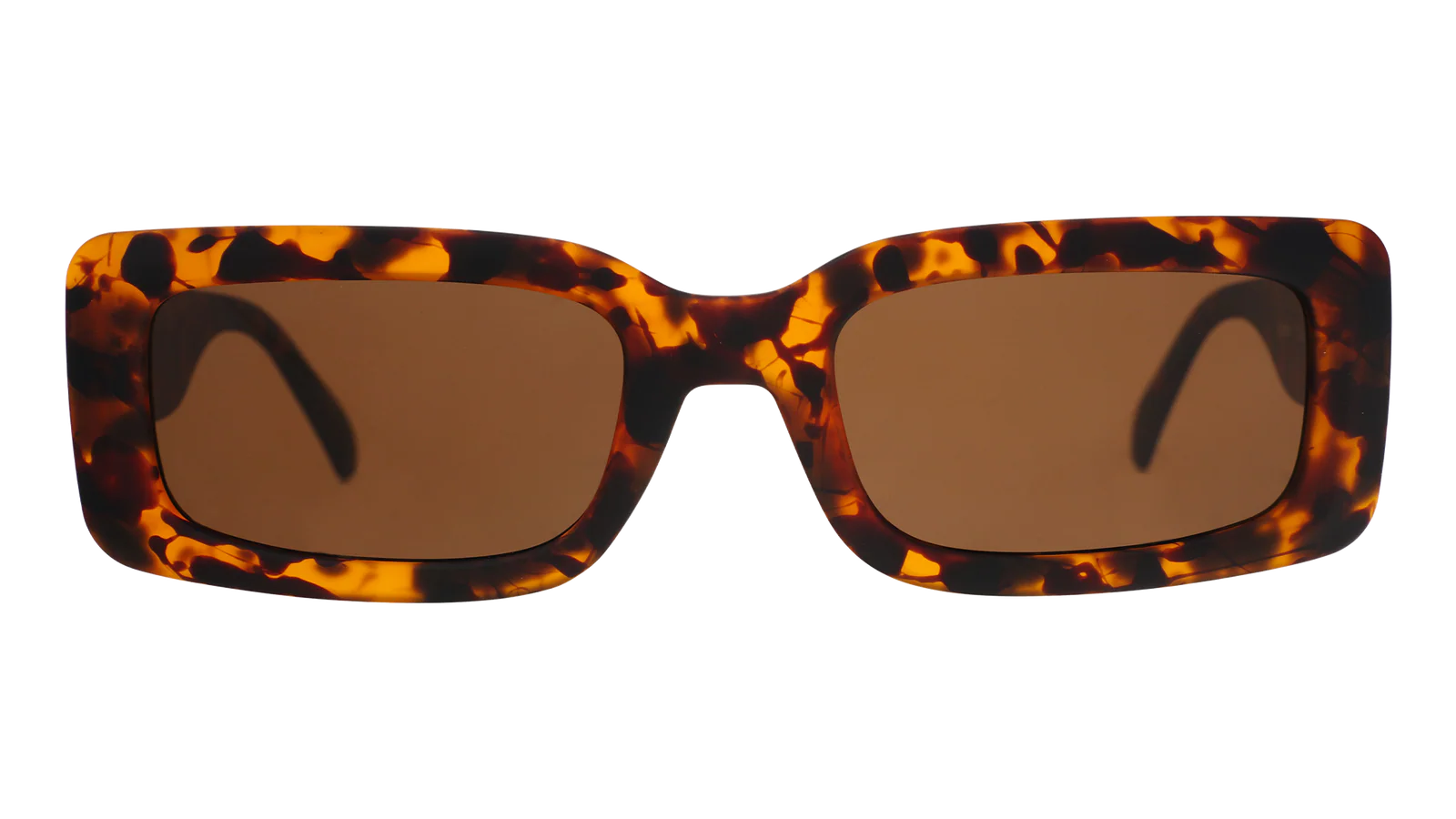 Came Here To Be Seen